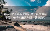 蘑菇网站｜真实使用记录：是否值得收藏并长期使用的判断，蘑菇网片