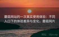 蘑菇网站的一次真实使用体验：不同入口下的体验差异与变化，蘑菇网片