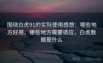 围绕白虎91的实际使用感想：哪些地方好用，哪些地方需要适应，白虎数据是什么
