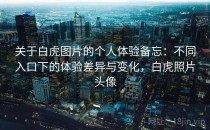 关于白虎图片的个人体验备忘：不同入口下的体验差异与变化，白虎照片头像
