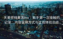 天美密桃果冻mv｜新手第一次接触的记录：内容呈现方式与主观体验总结