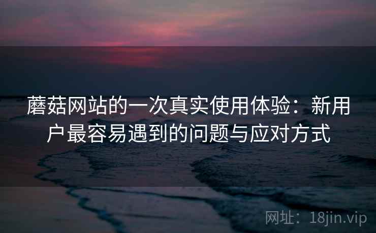 蘑菇网站的一次真实使用体验：新用户最容易遇到的问题与应对方式  第1张