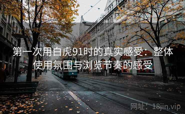 第一次用白虎91时的真实感受:整体使用氛围与浏览节奏的感受 第1张 第一次用白虎91时的真实感受:整体使用氛围与浏览节奏的感受 第1张