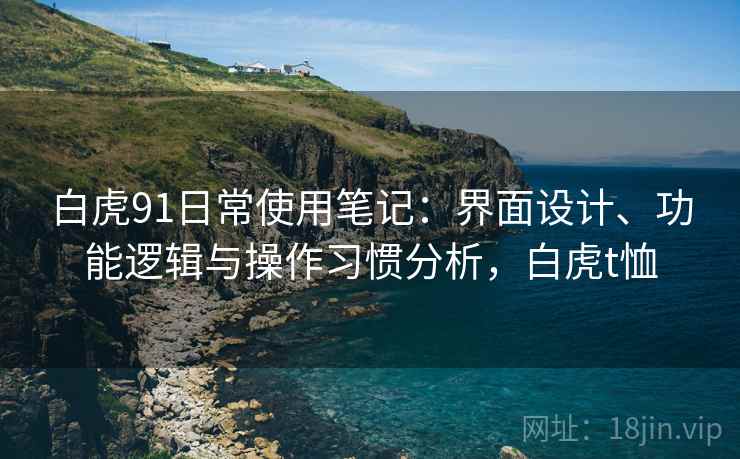 白虎91日常使用笔记:界面设计、功能逻辑与操作习惯分析,白虎t恤 第2张 白虎91日常使用笔记:界面设计、功能逻辑与操作习惯分析,白虎t恤 第2张