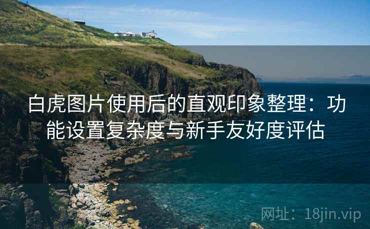 白虎图片使用后的直观印象整理:功能设置复杂度与新手友好度评估 第1张 白虎图片使用后的直观印象整理:功能设置复杂度与新手友好度评估 第1张