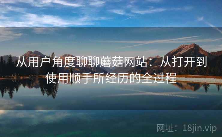 从用户角度聊聊蘑菇网站：从打开到使用顺手所经历的全过程  第2张