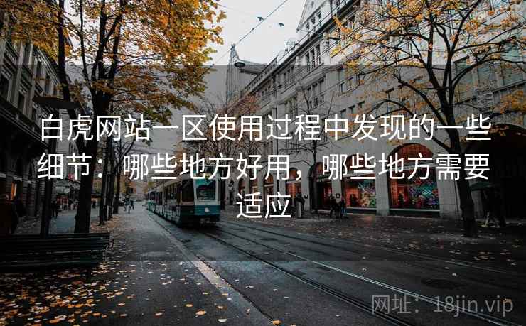 白虎网站一区使用过程中发现的一些细节：哪些地方好用，哪些地方需要适应  第2张