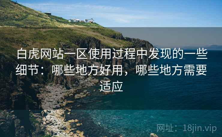白虎网站一区使用过程中发现的一些细节：哪些地方好用，哪些地方需要适应  第1张