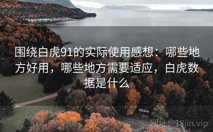 围绕白虎91的实际使用感想:哪些地方好用,哪些地方需要适应,白虎数据是什么 第2张 围绕白虎91的实际使用感想:哪些地方好用,哪些地方需要适应,白虎数据是什么 第2张