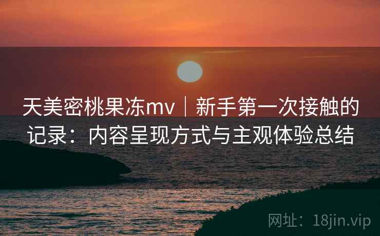 天美密桃果冻mv｜新手第一次接触的记录：内容呈现方式与主观体验总结  第2张