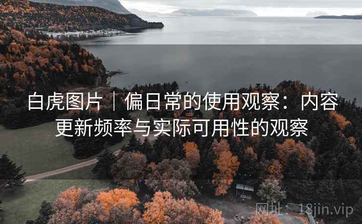 白虎图片|偏日常的使用观察:内容更新频率与实际可用性的观察 第2张 白虎图片|偏日常的使用观察:内容更新频率与实际可用性的观察 第2张