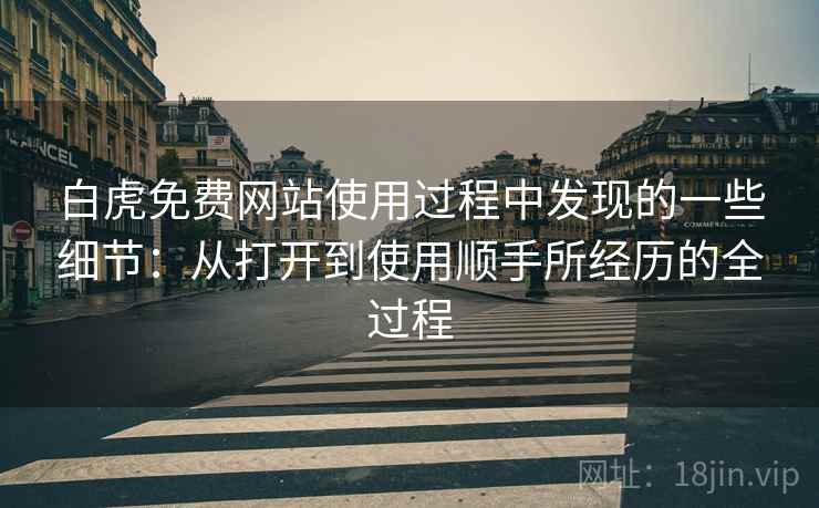 白虎免费网站使用过程中发现的一些细节:从打开到使用顺手所经历的全过程 第1张 白虎免费网站使用过程中发现的一些细节:从打开到使用顺手所经历的全过程 第1张