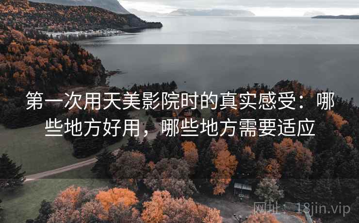 第一次用天美影院时的真实感受:哪些地方好用,哪些地方需要适应 第2张 第一次用天美影院时的真实感受:哪些地方好用,哪些地方需要适应 第2张